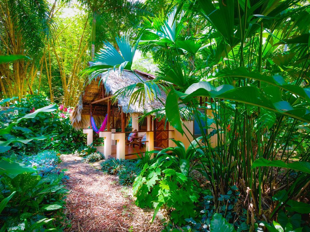 Caribe Town Bungalows Puerto Viejo de Talamanca Buitenkant foto